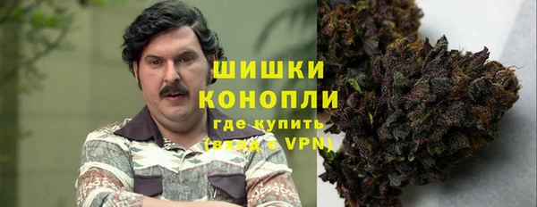стаф Арсеньев