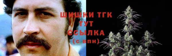 стаф Арсеньев