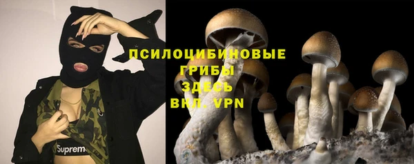 стаф Арсеньев