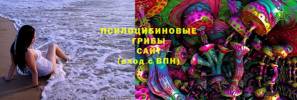индика Армянск