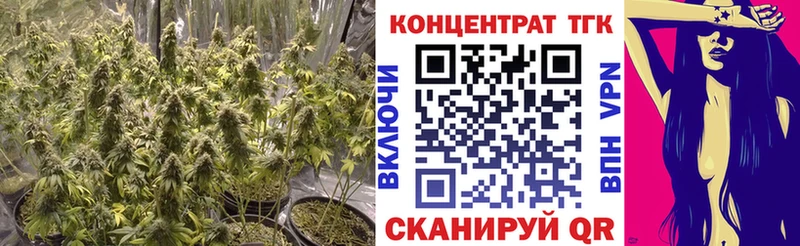 KRAKEN рабочий сайт  Ясногорск  ТГК концентрат 